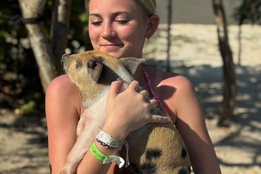 Una persona sosteniendo un pequeño animal, posiblemente un roedor, con un brazalete y un reloj a la vista. 5
