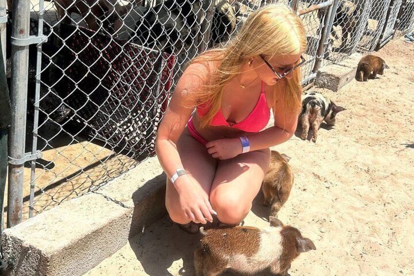 Swim with the Pigs Freeport @Creative Eco Adventures 2
