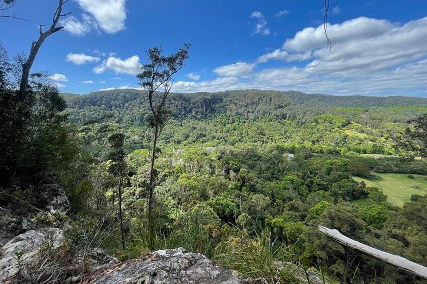2 Night Rainforest Glamping Adventure near Byron Bay 2