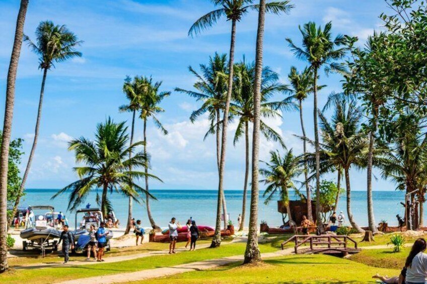 A beach with palm trees, a wooden bridge, and people walking. 2