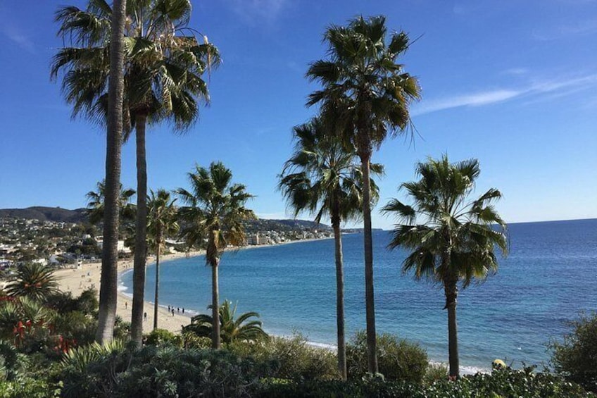 Une plage bordée de palmiers, avec une eau d’un bleu limpide et une ville qui se devine au loin. 2