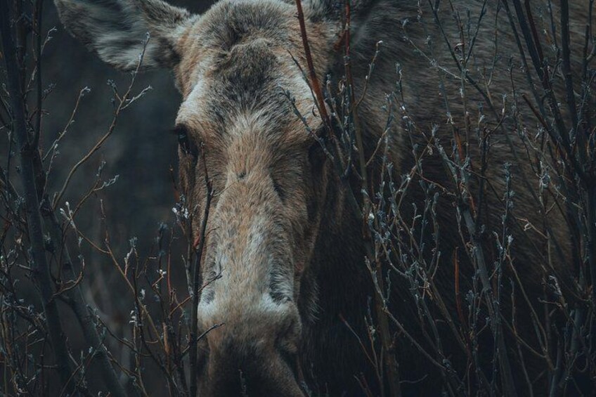 Photography Adventure to Capture Stunning Landscapes 3