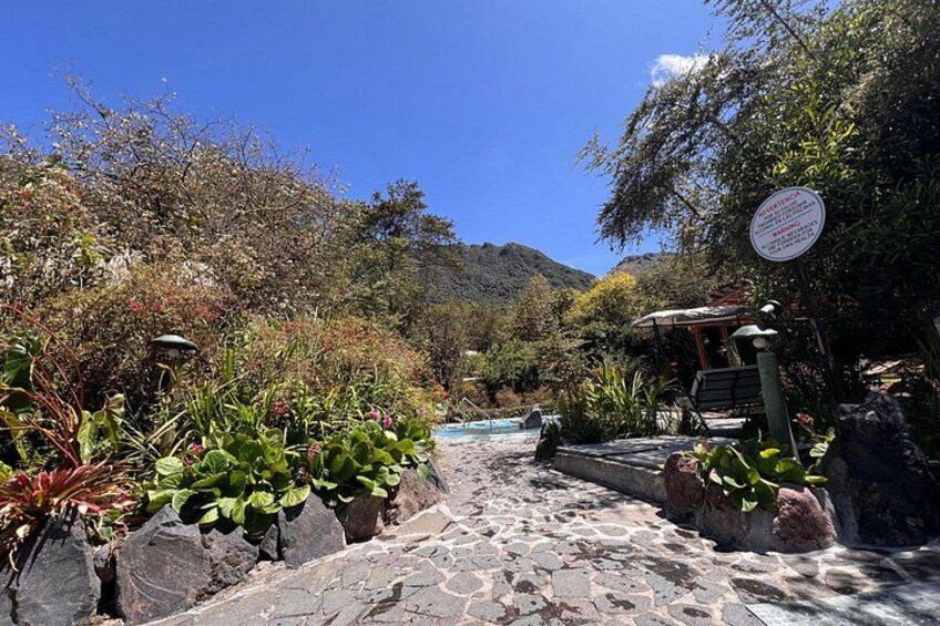 Un chemin de pierres mène à une piscine entourée d’une végétation luxuriante, avec une montagne en arrière-plan. 4