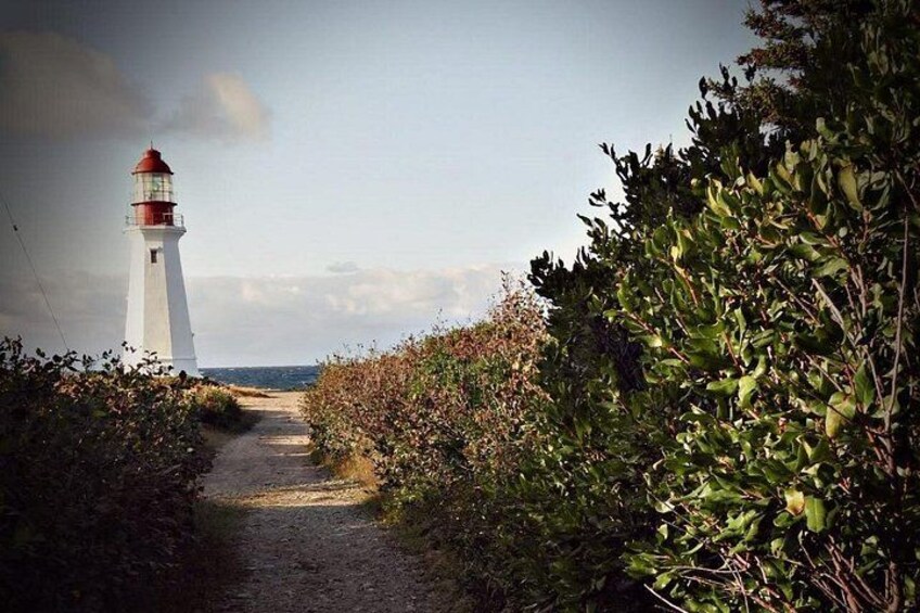 A coastal path leading to a lighthouse, surrounded by dense shrubbery. 4