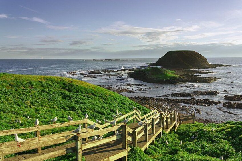 A coastal landscape with a wooden staircase leading to a grassy area, a rocky outcrop in the sea, and seagulls. 2