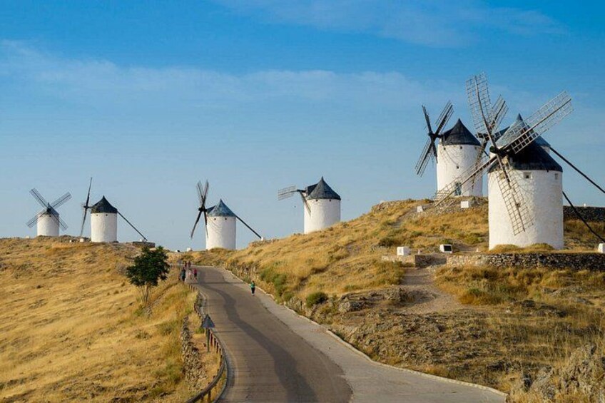 Madrid Private Segovia and La Mancha Windmills Day Trip 5