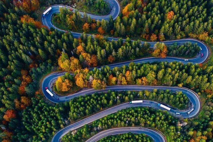 A winding road through a dense forest with autumn foliage. 1