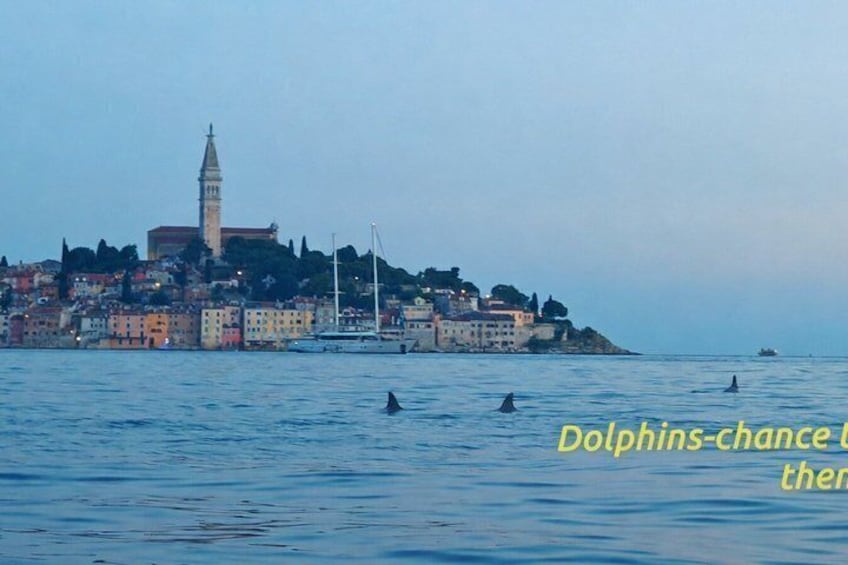 Rovinj amazing kayak tour-free drink &snorkeling &jumps &photos 2