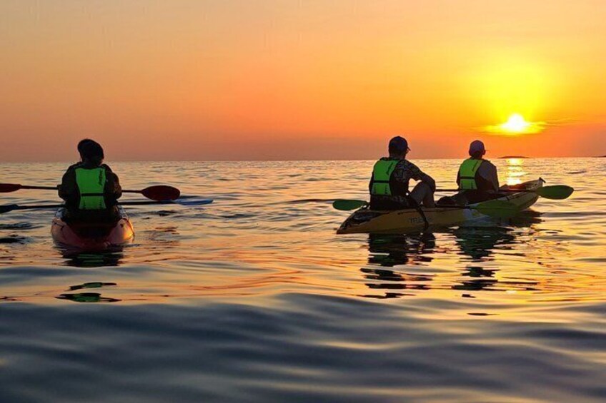 Rovinj amazing kayak tour-free drink &snorkeling &jumps &photos 2