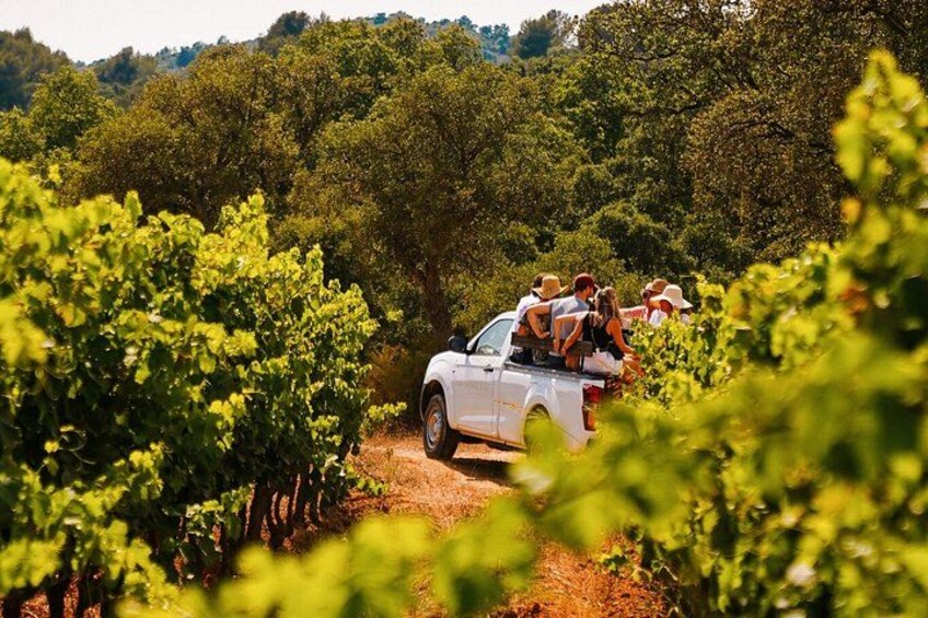 4x4 tour in a winery followed by a tasting 2
