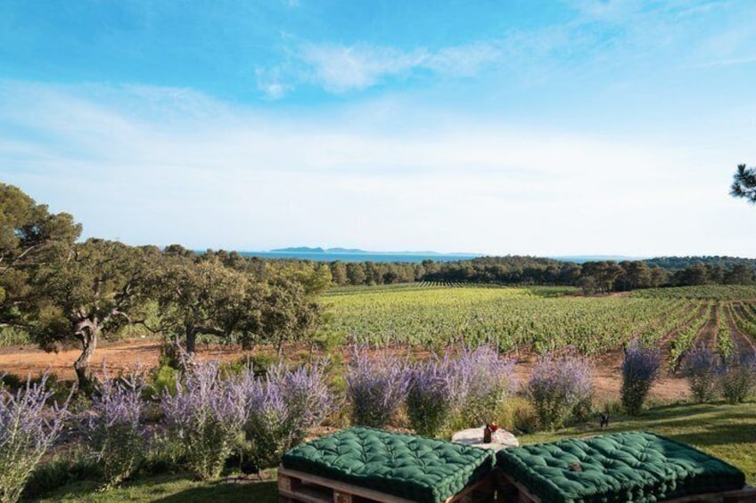 4x4 tour in a winery followed by a tasting 2