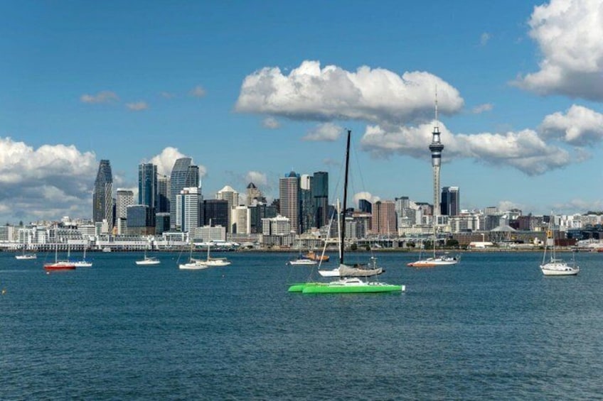 Scenic Wine and Cheese Auckland Harbour Cruise 4