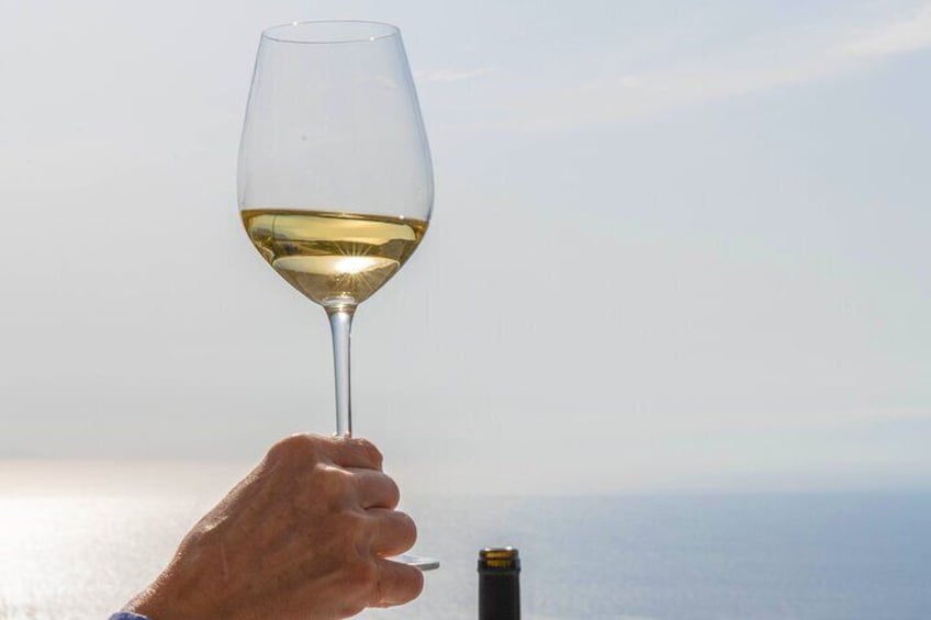 Syros wine tasting and village walk 1