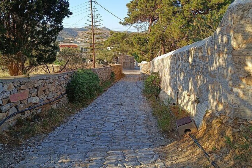 Syros wine tasting and village walk 4
