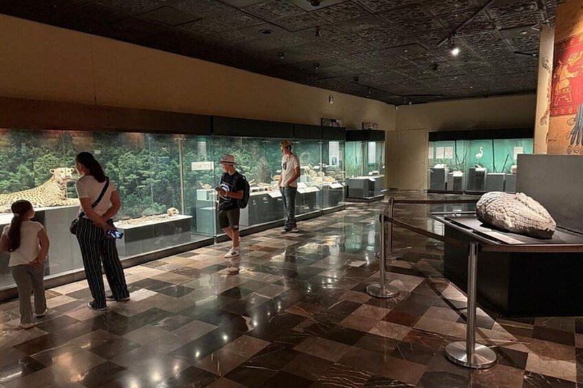 Private Tour of Templo Mayor in Mexico City 3