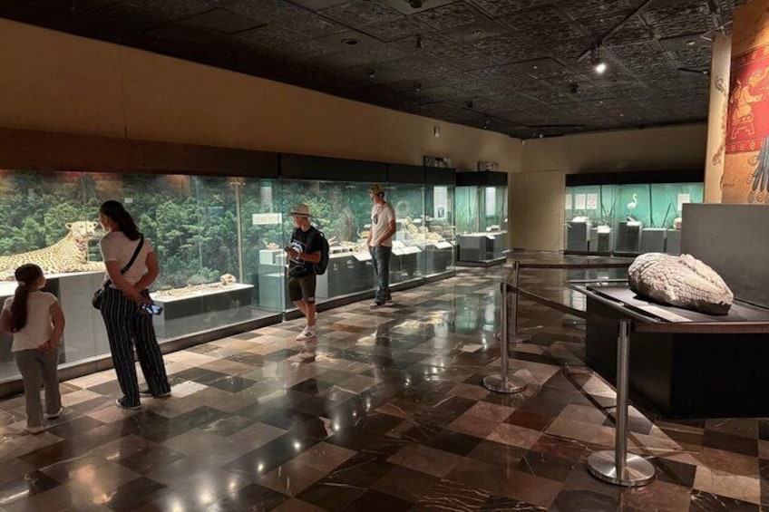 Ett museum inomhus med utställningsmontrar av glas, en utställning om leoparder och besökare som tittar på utställningarna. 3