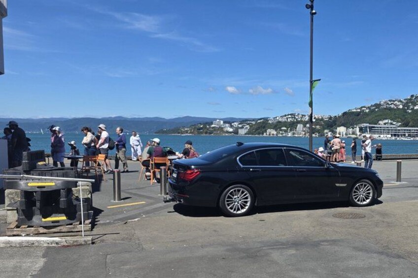 PRIVATE Full Day guided tour of Wellington including Te Papa Tour 1