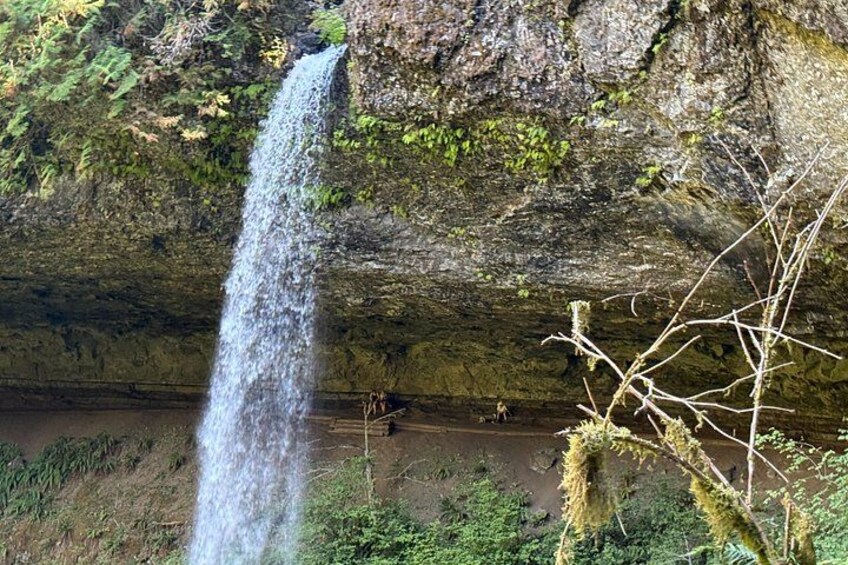 Seven Falls Hiking Tour at Silver Falls State Park 4