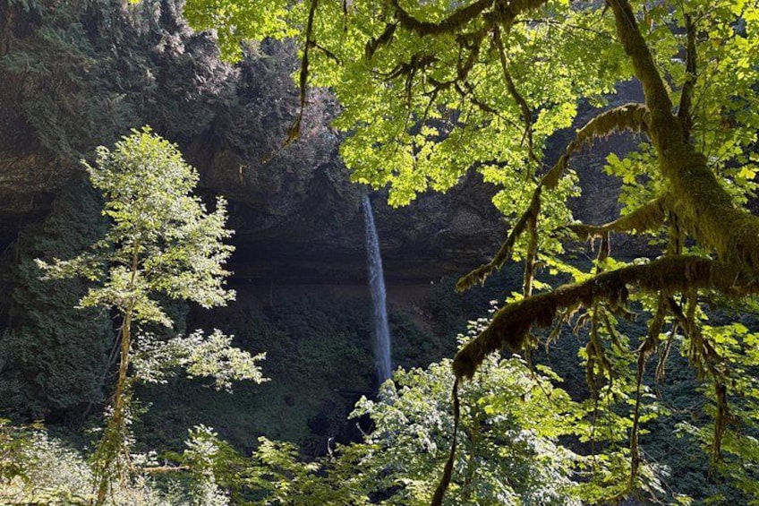 Seven Falls Hiking Tour at Silver Falls State Park 2