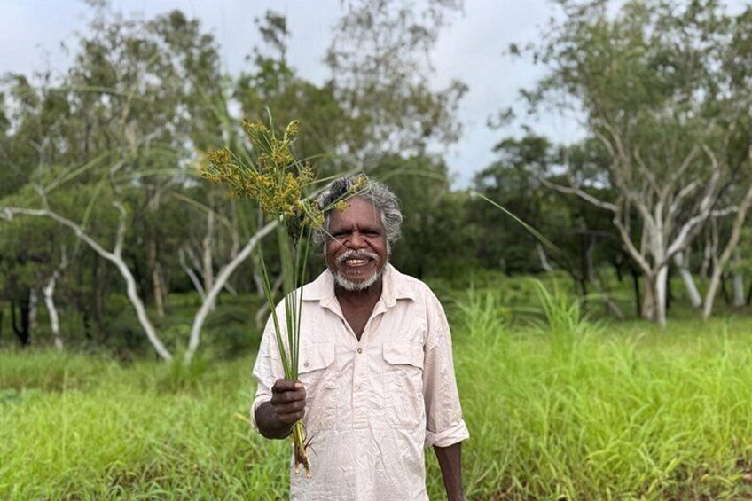 A person holding a bunch of plants in a grassy field with trees in the background. 4