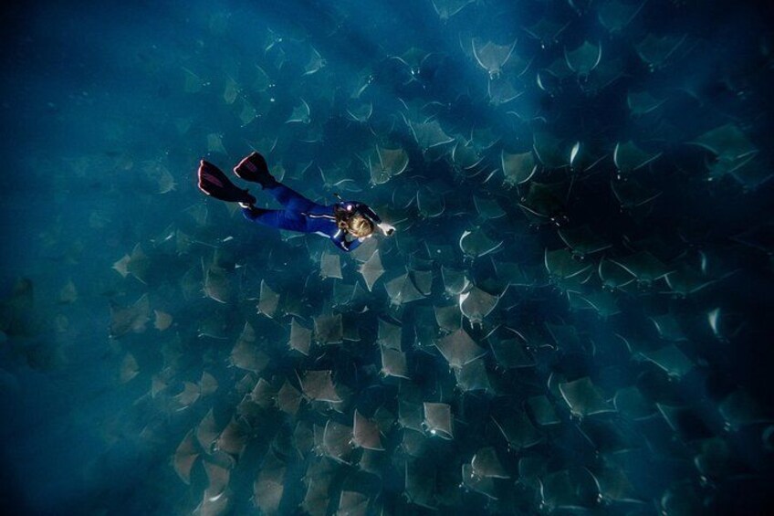 Una persona haciendo buceo rodeada de un banco de peces. 2