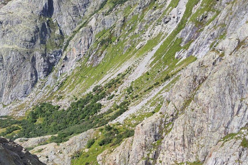 Zurich Day Trip: Trift Suspension Bridge in the Swiss Alps 2