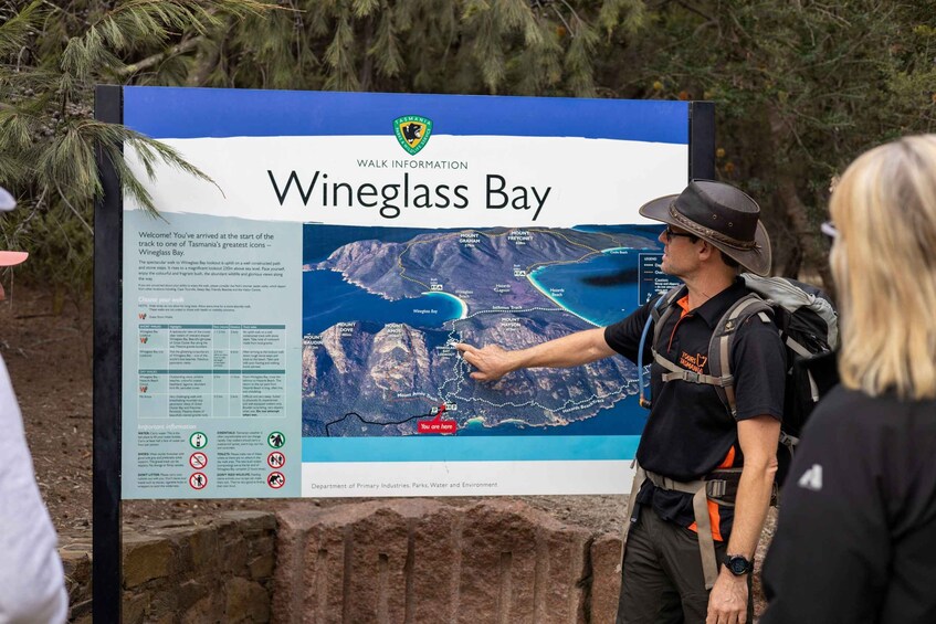 Picture 1 for Activity 1 Day Launceston to Hobart via Wineglass Bay active day trip 5
