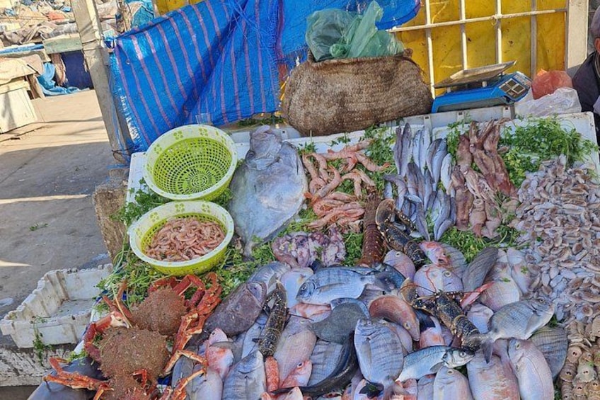 Variedad de mariscos expuestos sobre una mesa, incluyendo pescado, camarones y otras especies marinas. 4