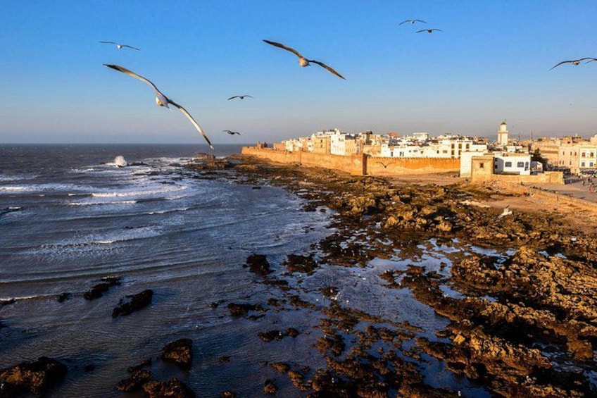Un paisaje urbano costero con costas rocosas, olas y gaviotas. 1