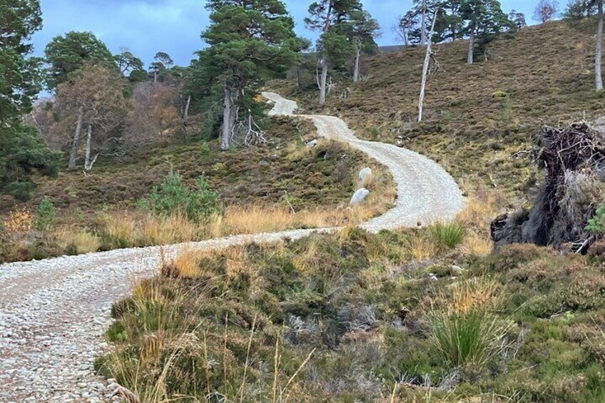 A winding gravel path through a hilly, grassy landscape with scattered trees. 3