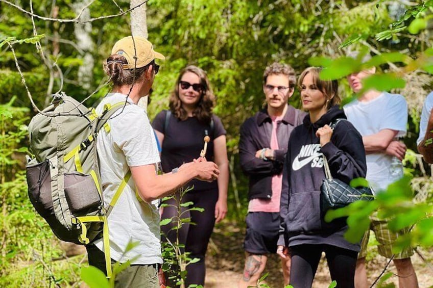 A group of people hiking in a forested area. 1