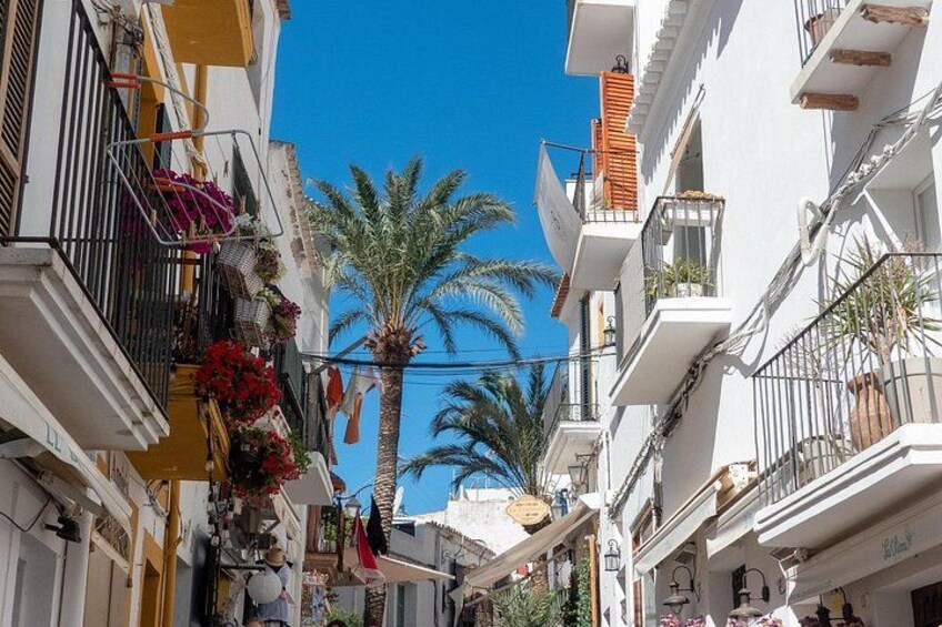 Ibiza Private Walking Tour with Local Guide 4