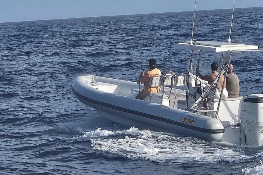 Dolphin Tours in Fuerteventura and snorkeling on the coast 2