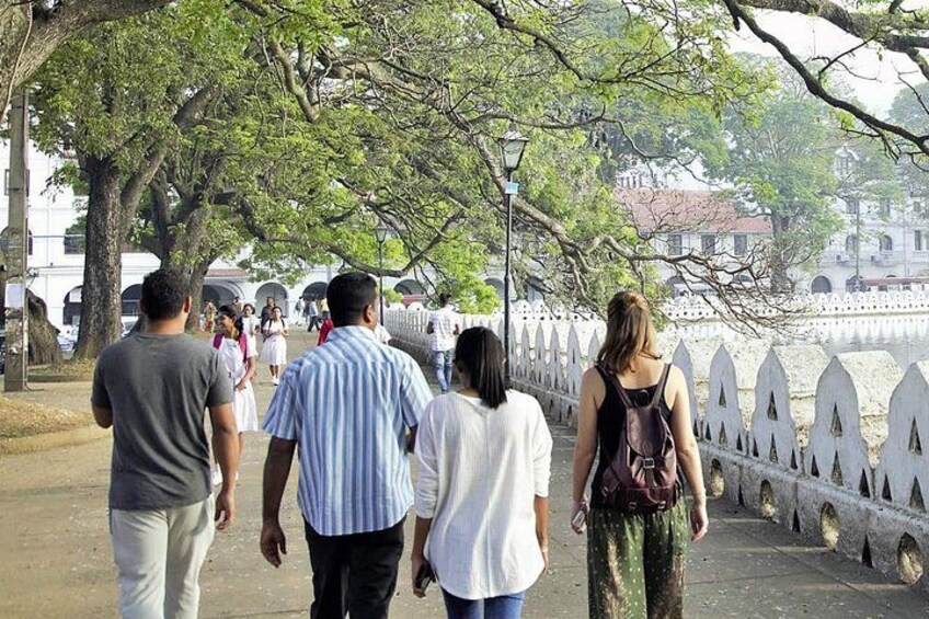 Best_of_Sri Lanka_14Day_All_Inclusive_Tour_8 4