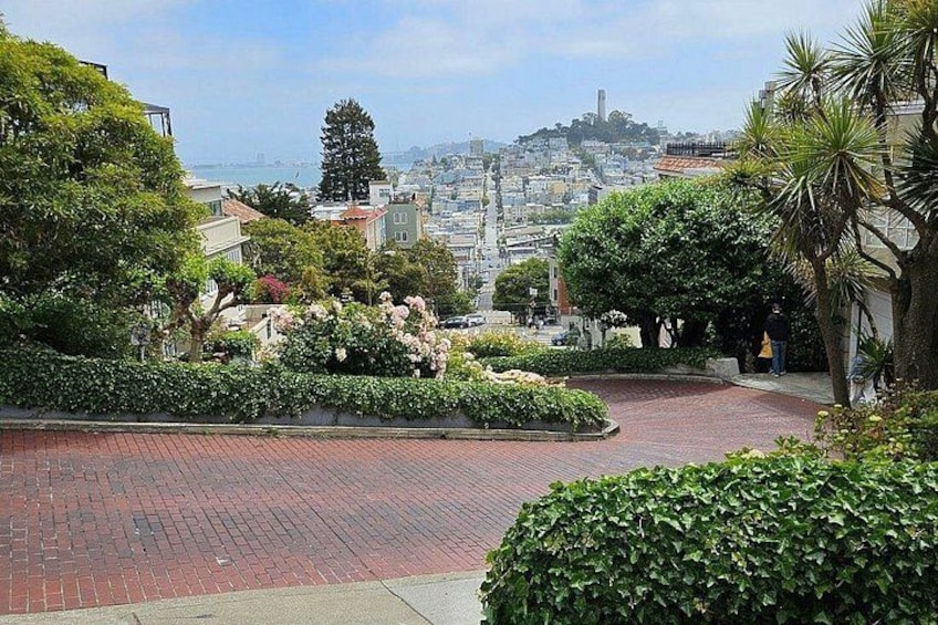 A landscaped area with a brick pathway, lush greenery, and a distant cityscape. 3