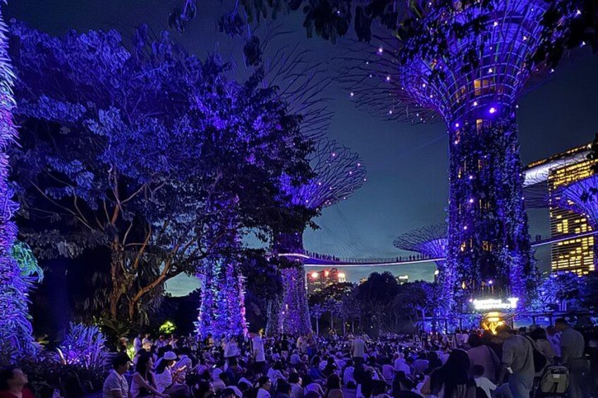 Singapore River Cruise, Night Garden Rhapsody and Spectra Tour 1