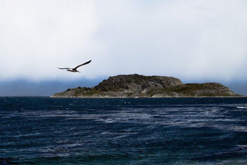 Un gabbiano vola sopra un'isola rocciosa circondata dall'oceano. 4