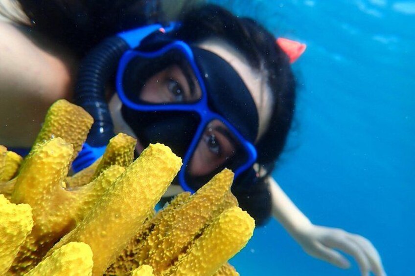 Marine Adventure Cruise Snorkeling and Swimming in Lefkada 4