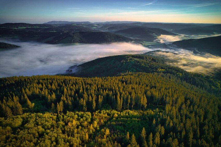 A dense forest with a valley and mist-covered mountains. 2