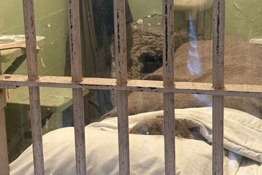Alcatraz Inside Cruise With Free Audio and Night Option 4
