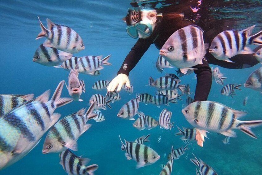 Blue Cave & Tropical Fish Private Snorkeling ！Free Photo Gift 2
