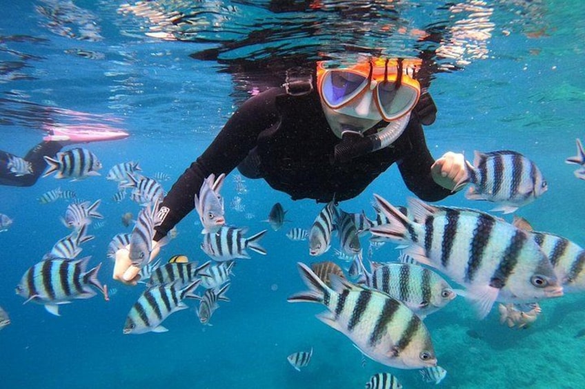 A person snorkeling among striped fish in clear blue water. 3