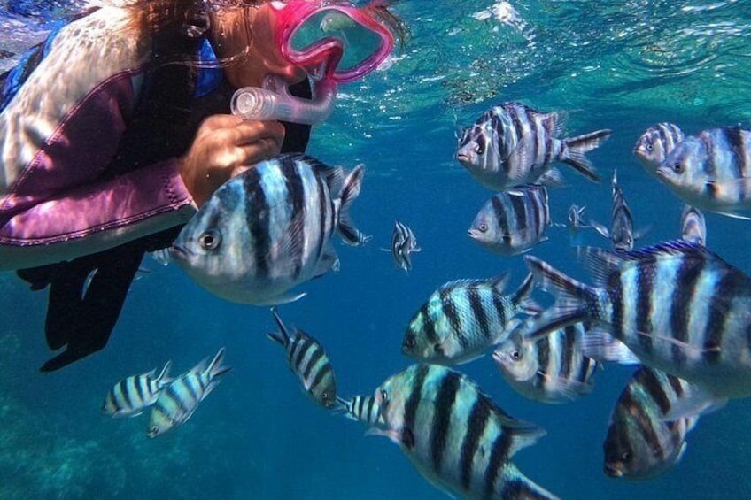 Blue Cave & Tropical Fish Private Snorkeling ！Free Photo Gift 5