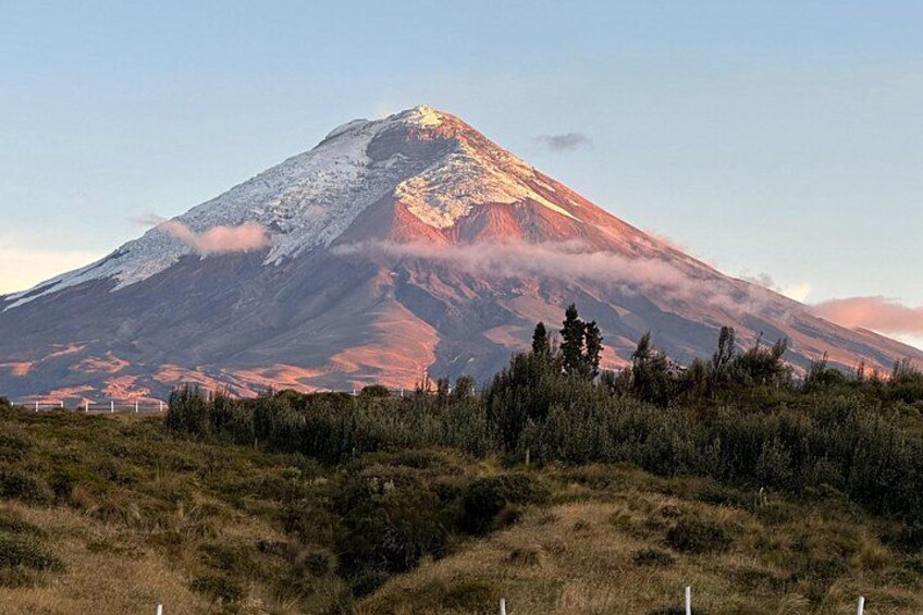 A snow-capped mountain with a forested foreground. 1