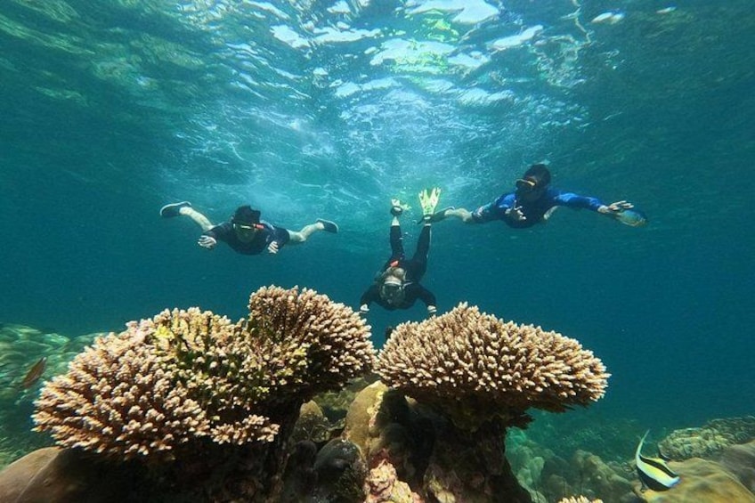 Three divers swimming underwater with coral formations. 5