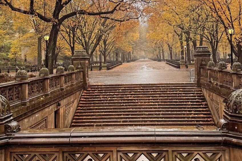 A bridge with ornate railings and steps leading to a park with autumn-colored trees. 5