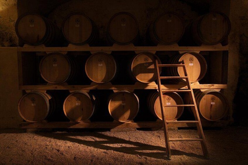 Historical Cellar Visit and Wine Tasting in Salento 2