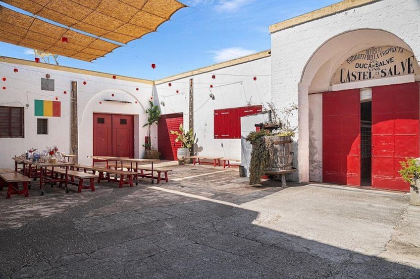 Historical Cellar Visit and Wine Tasting in Salento 2