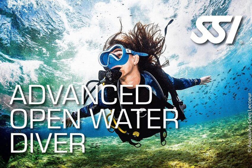 A diver with a mask and snorkel underwater, surrounded by marine life. 1