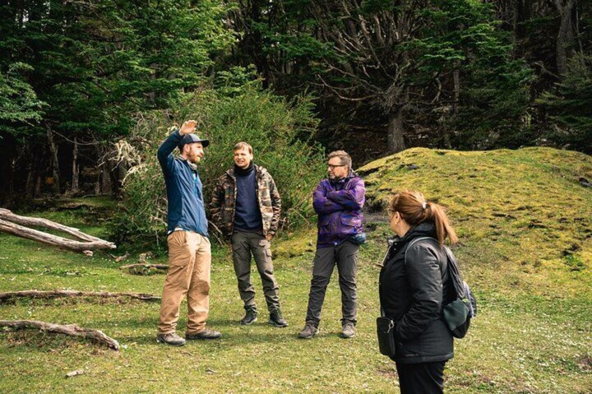 Tierra del Fuego National Park – Small Groups. Optional Train 2